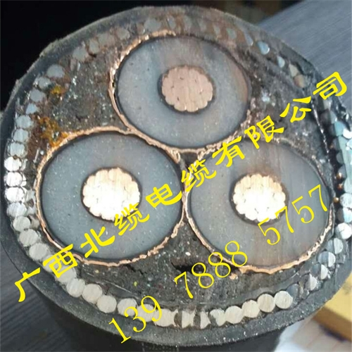 www.iotfinance.cn